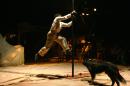le chant du dindon 033 * 4368 x 2912 * (5.76MB)